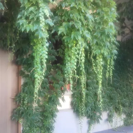 Hotel Hotel Treviglio Treviglio